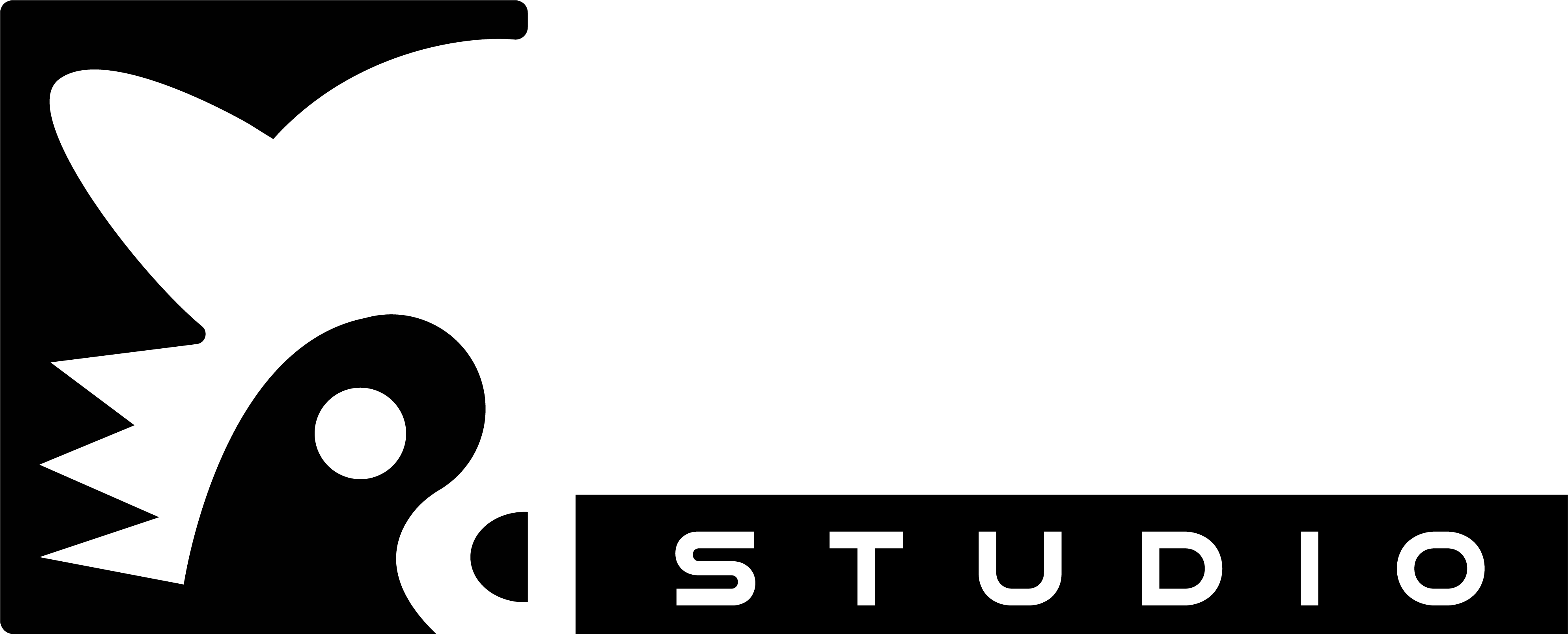 MadRaccoonStudio